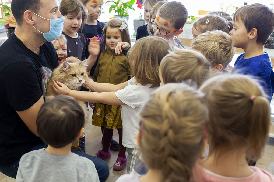 cat day in private school Wroclaw