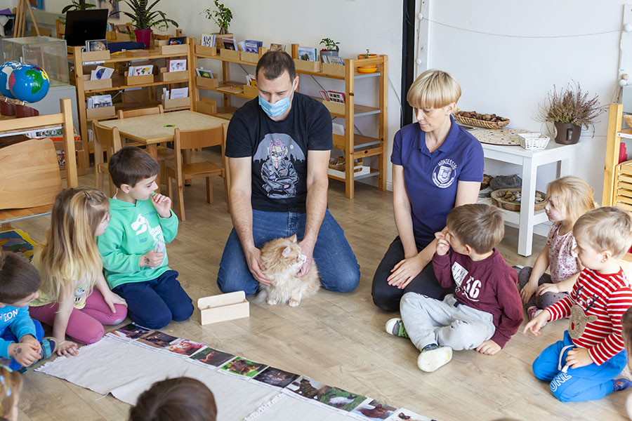 cat day in private preschool Wroclaw