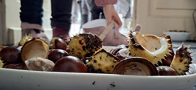 kasztany palac brzezina