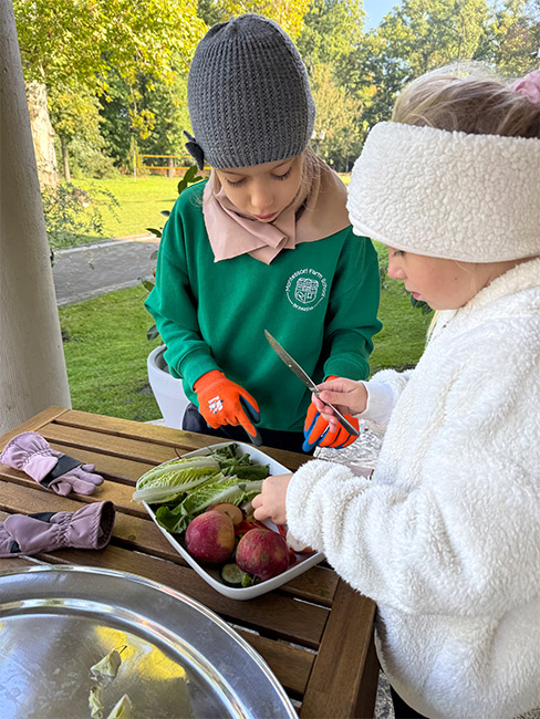 przygotowanie karmy dla kur silka na farmie