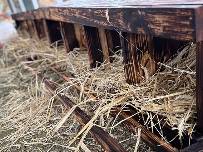 gniazdo dla kur niosek w kurniku