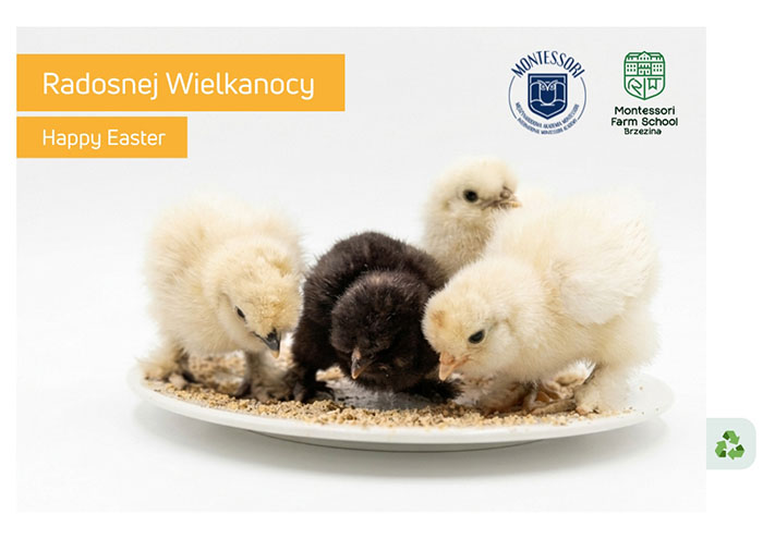 kartka swiateczna kury silka 2026