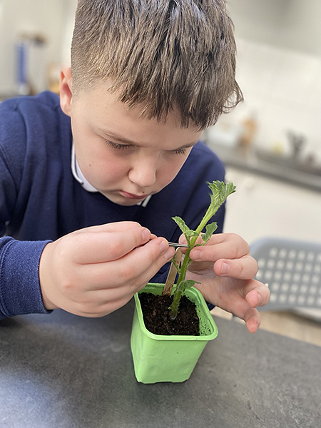 biologia w szkole Montessori