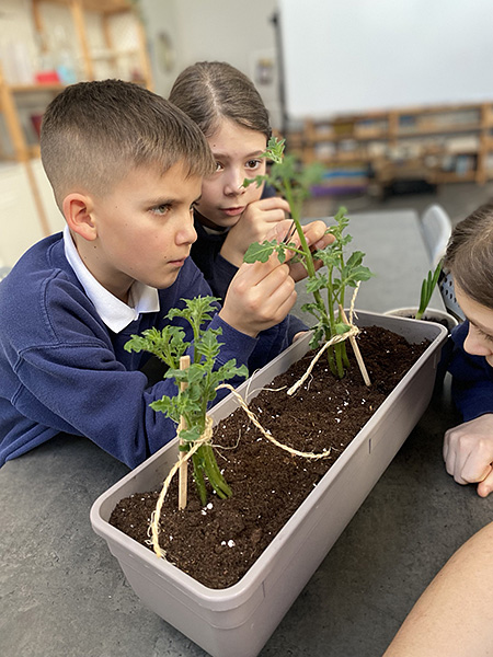 doswiadczenia biologia przyroda Montessori