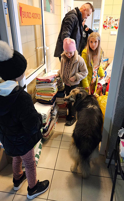 adopcja psy koty schronisko wroclaw slazowa