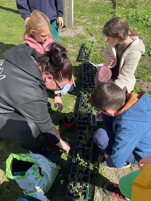 szkolne pomidory akademia montessori mokronos