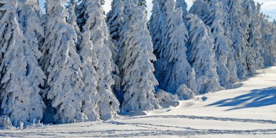 ski camp at private billingual school 