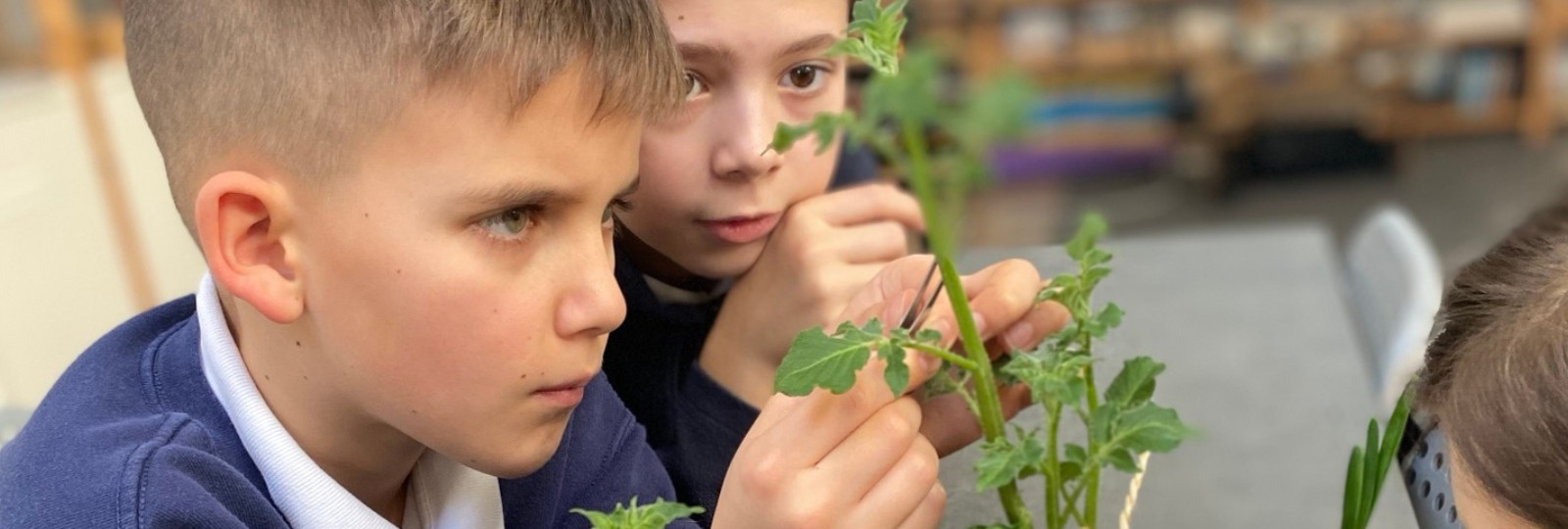 Lekcje biologii w edukacji Montessori