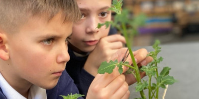 Montessori biology lesson