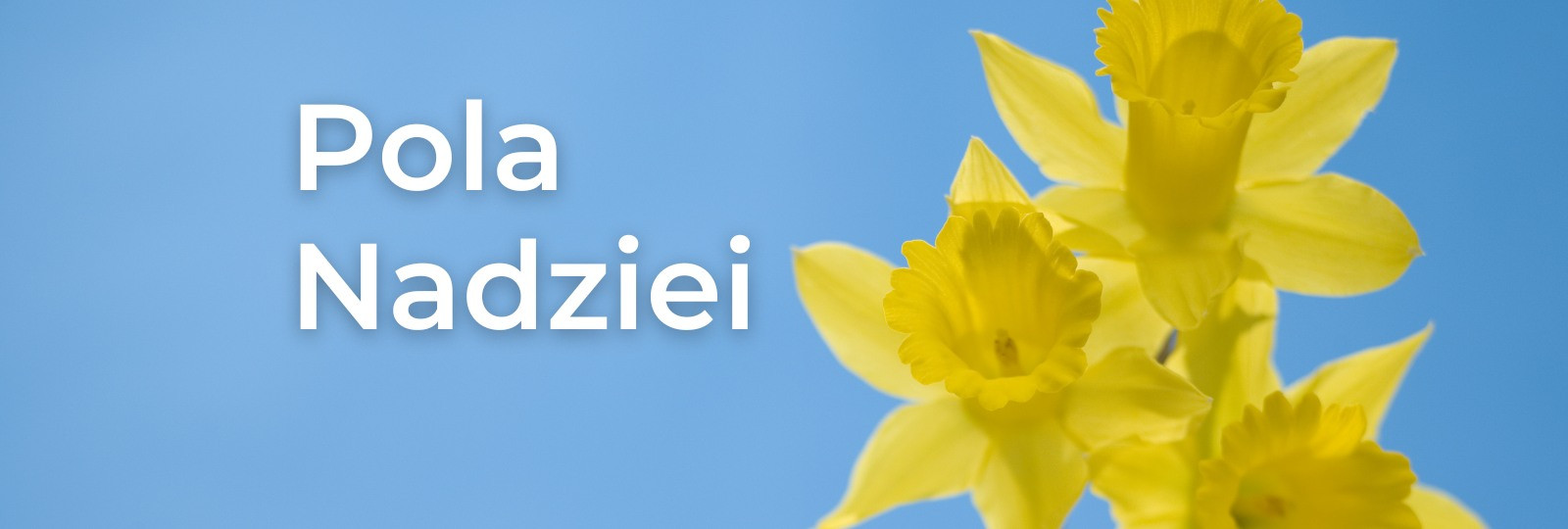 Pola nadziei