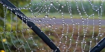 The autumn weather does not discourage us.