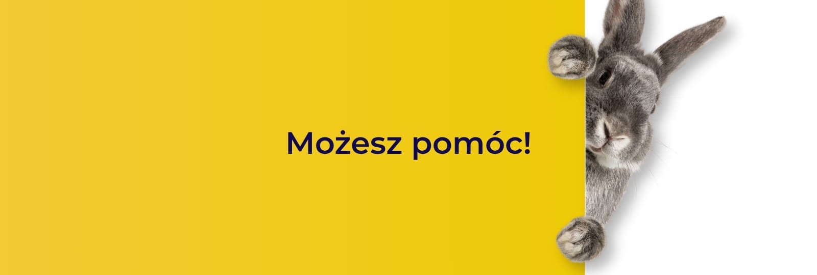 Charytatywny kiermasz Wielkanocny 2026