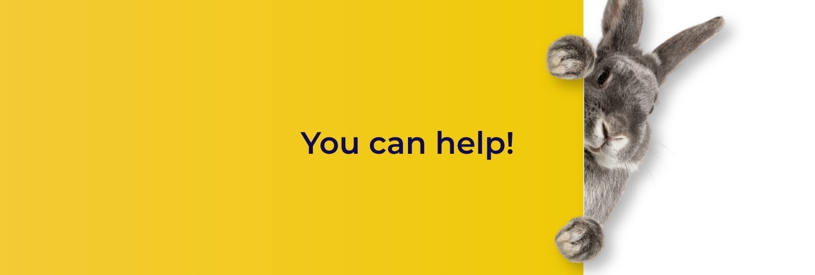 Easter Charity Fair 2026