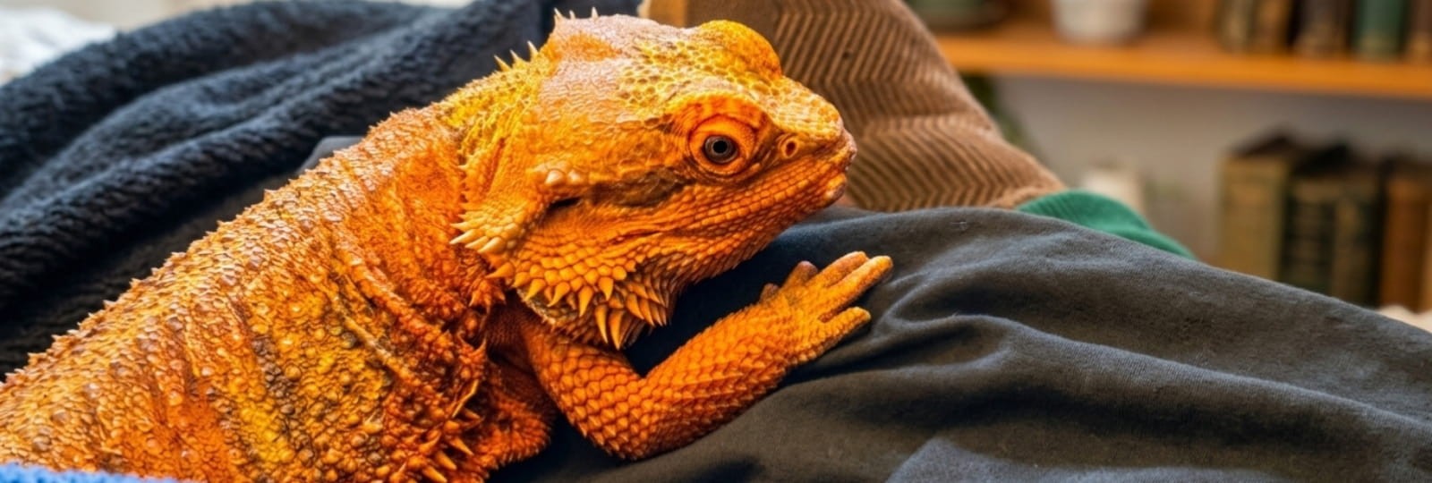 Bliskie spotkania z naturą: gady, płazy i nowi mieszkańcy naszej społeczności